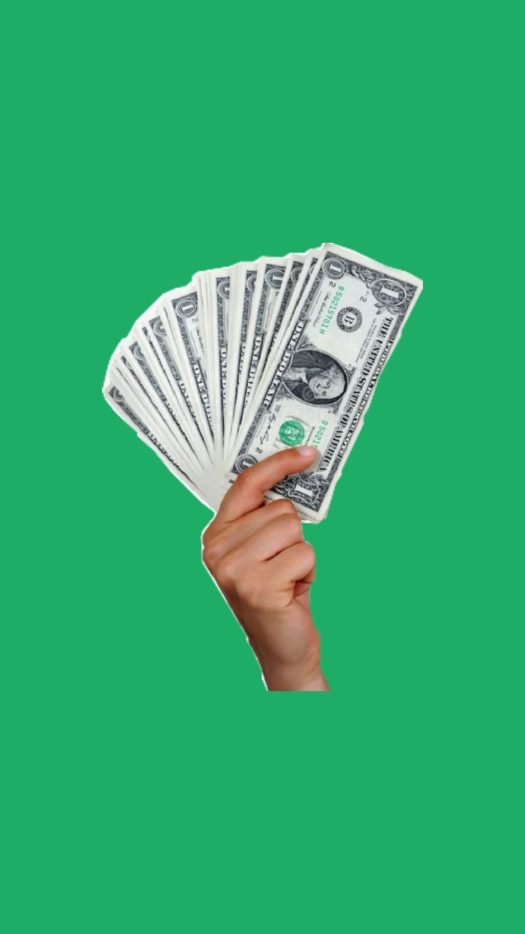 The Bargain Hunter fan archetype