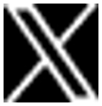 X (Twitter) logo